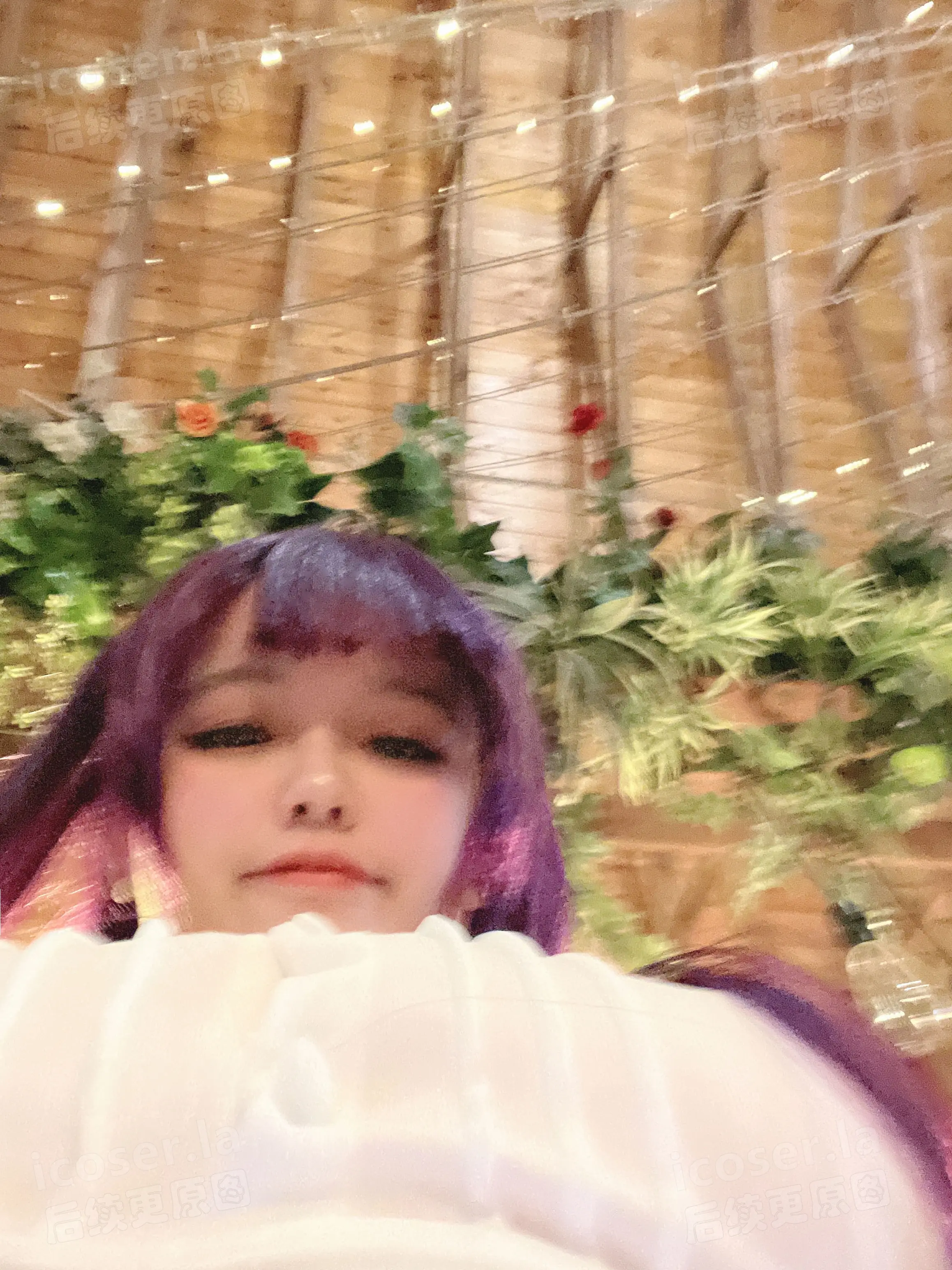 0067.webp