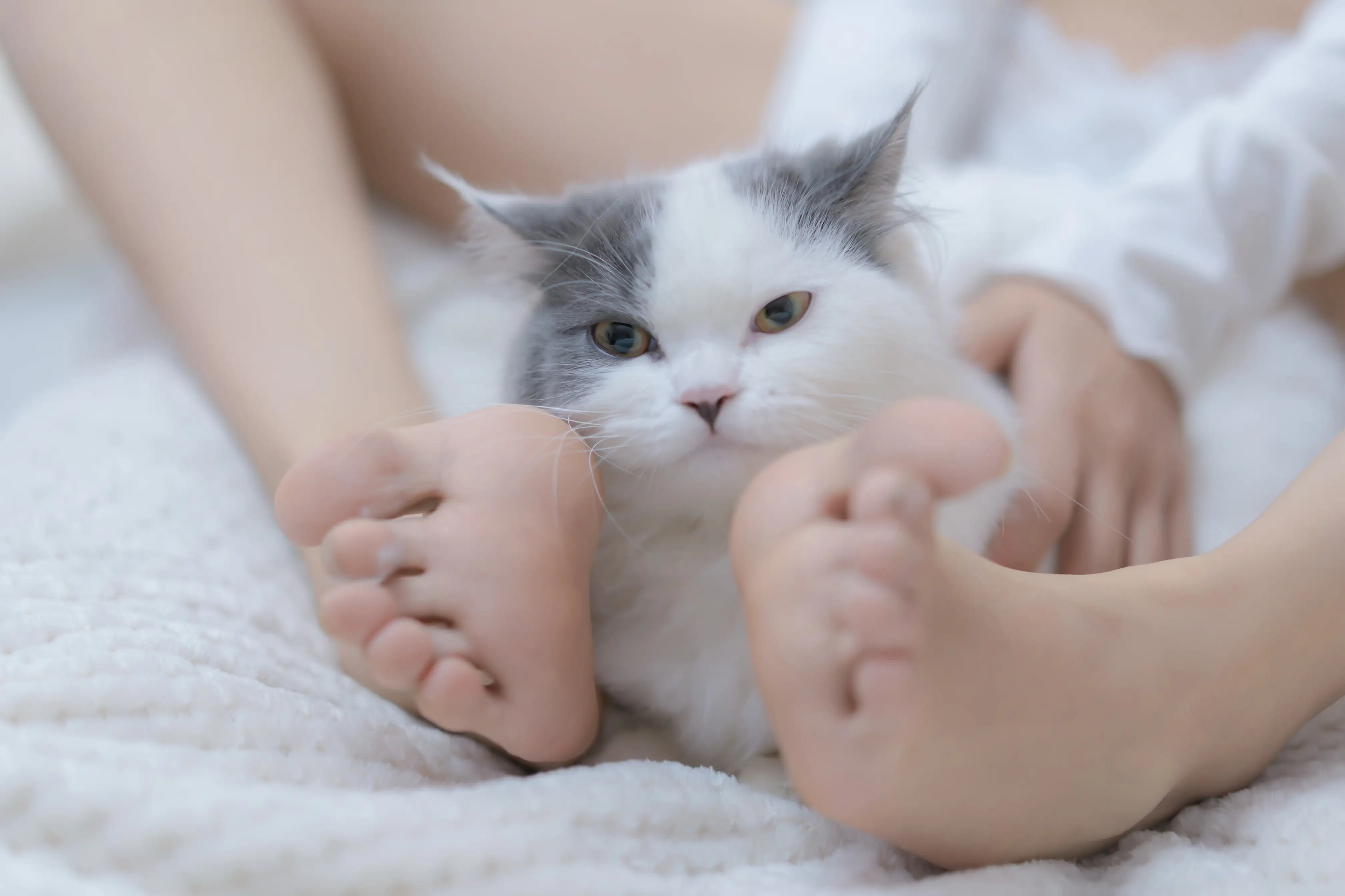  (043).webp