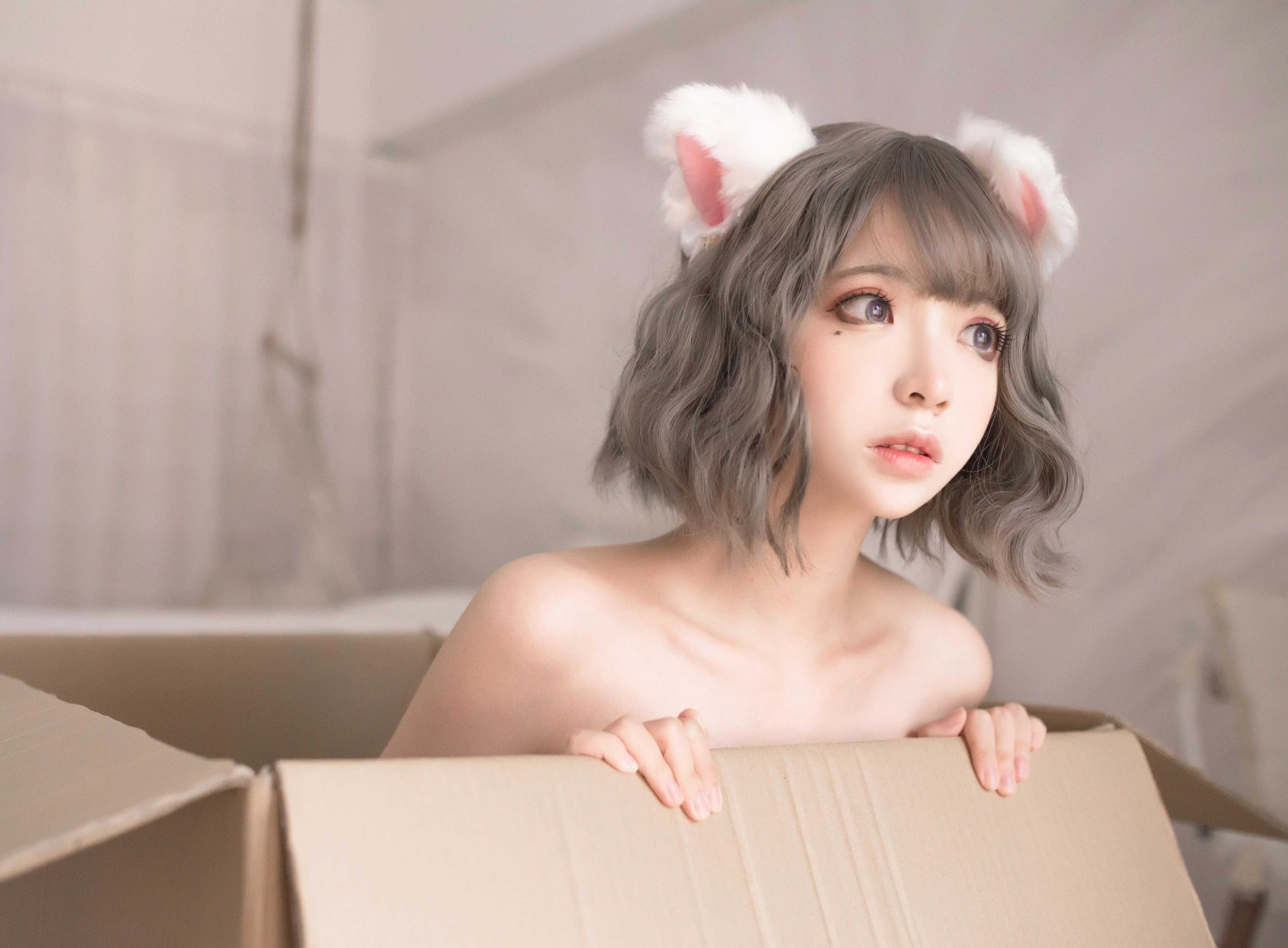 (003).webp