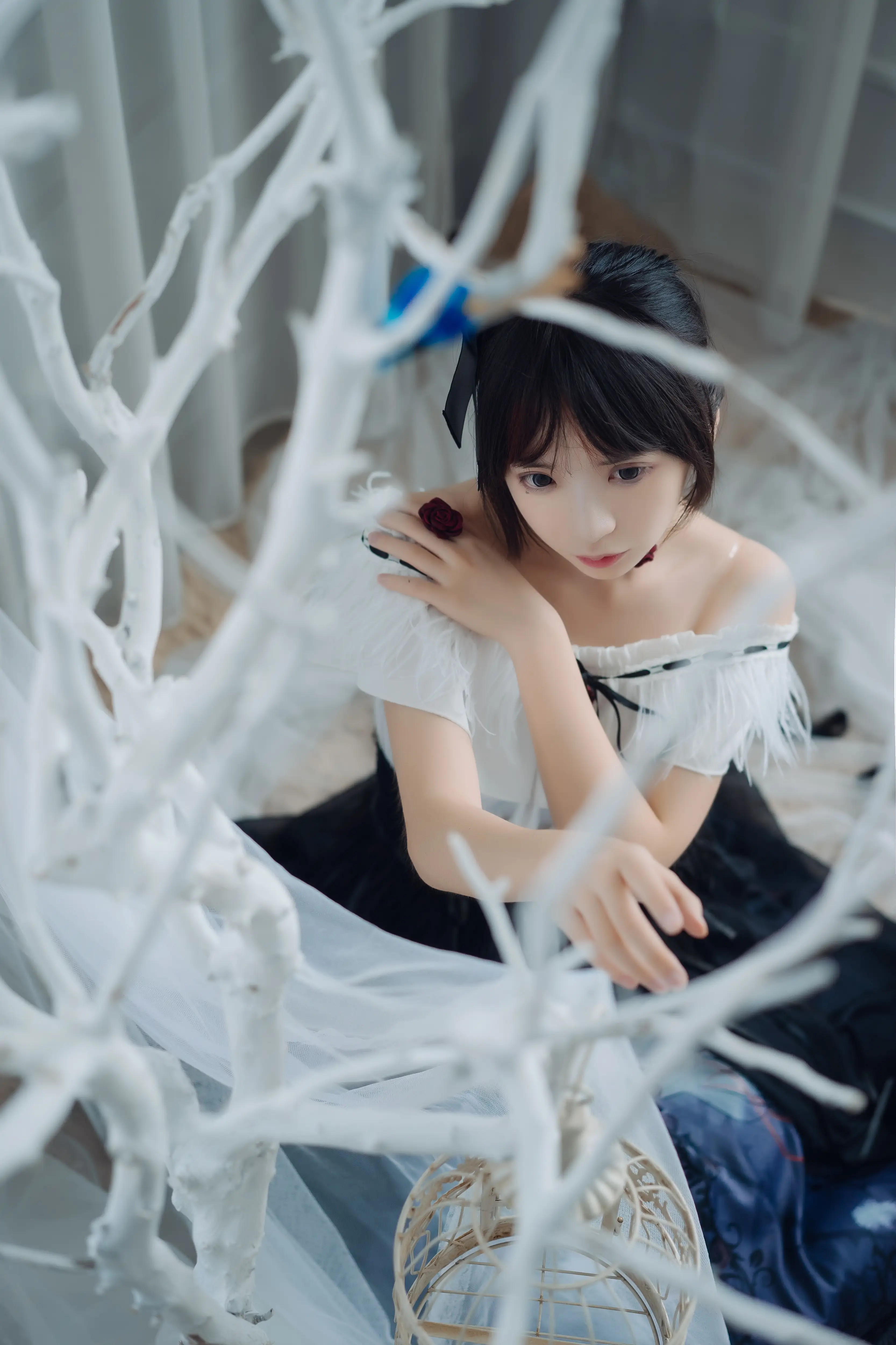 (012).webp