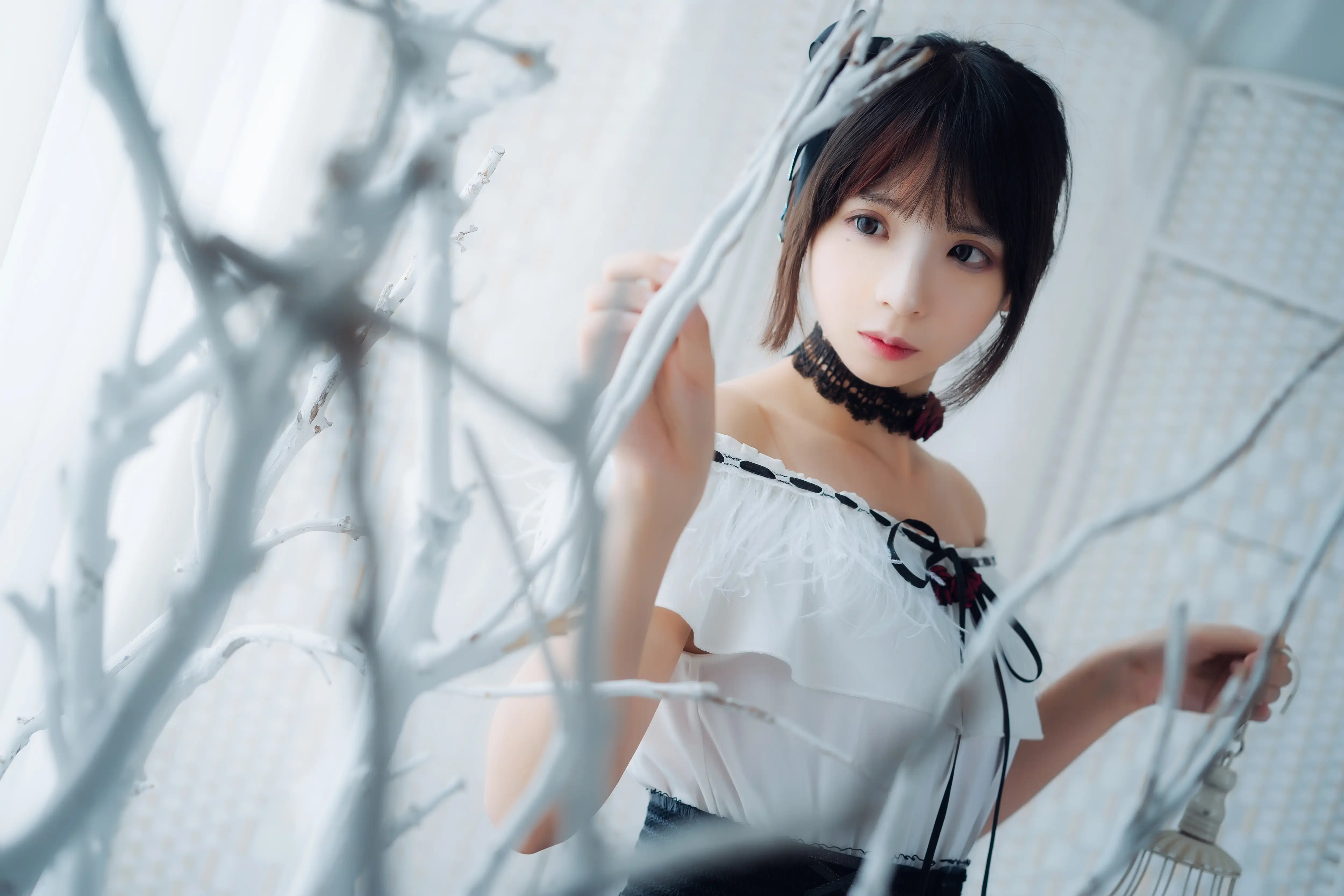 (007).webp