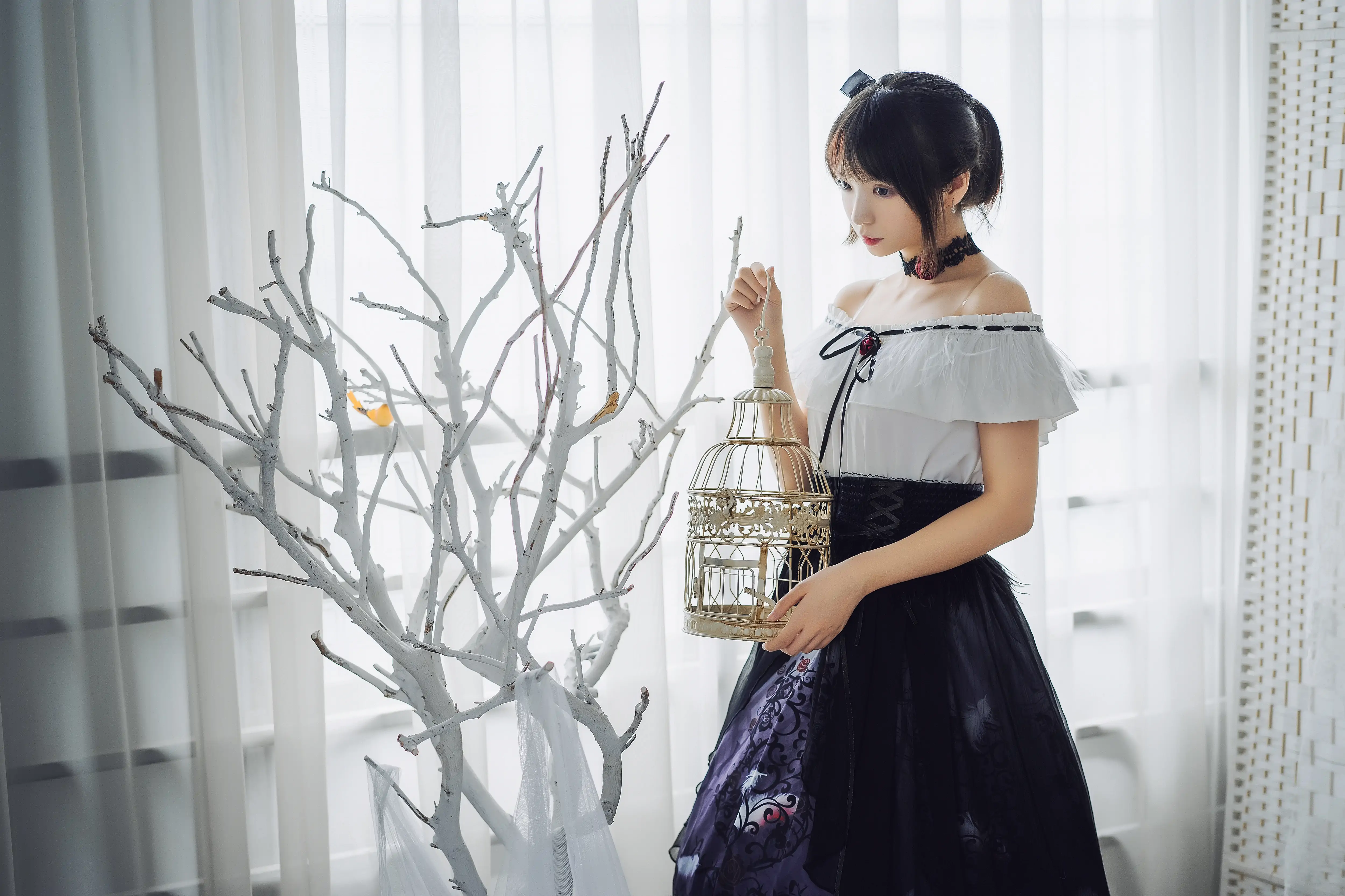 (006).webp