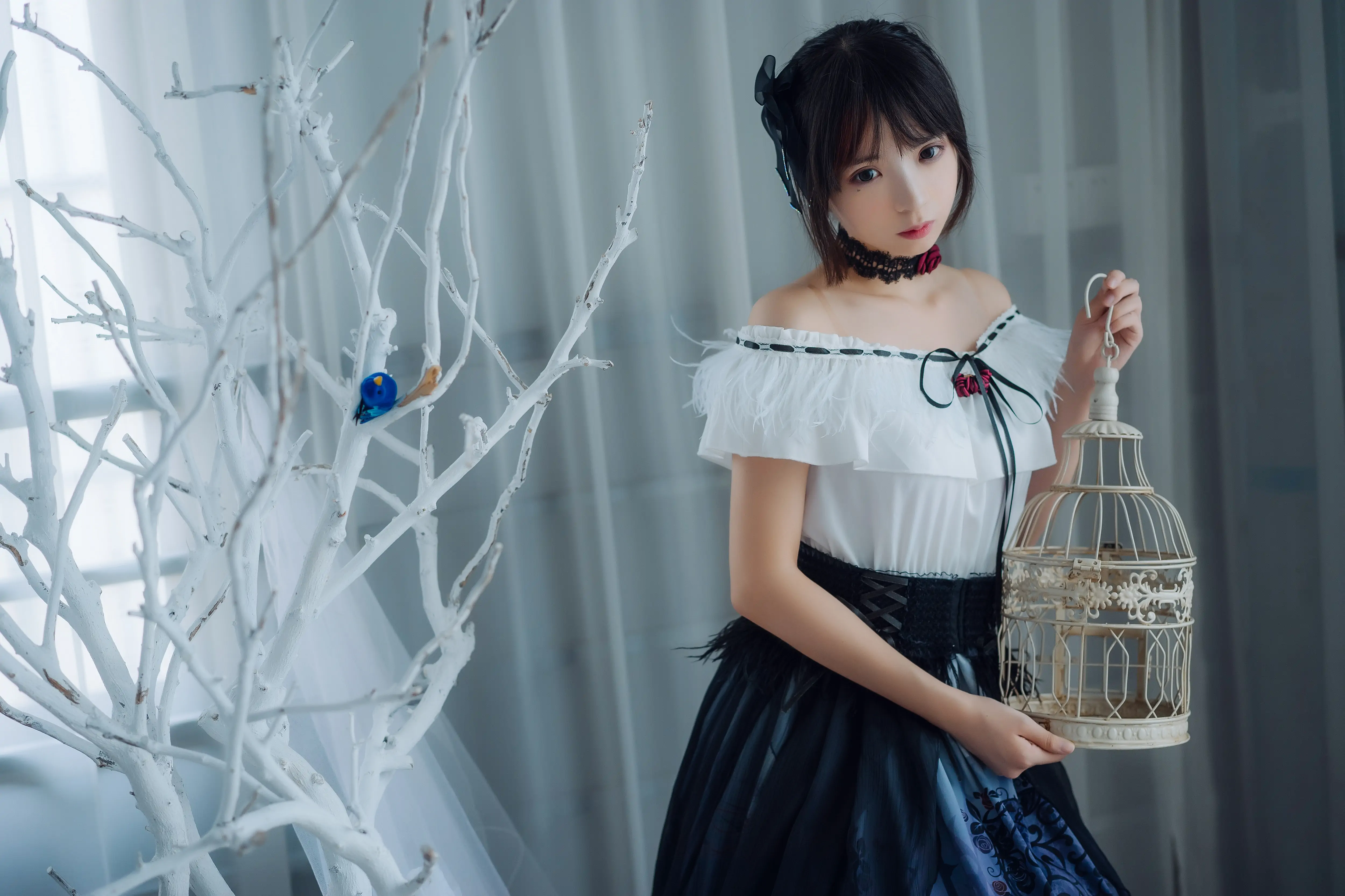 (010).webp