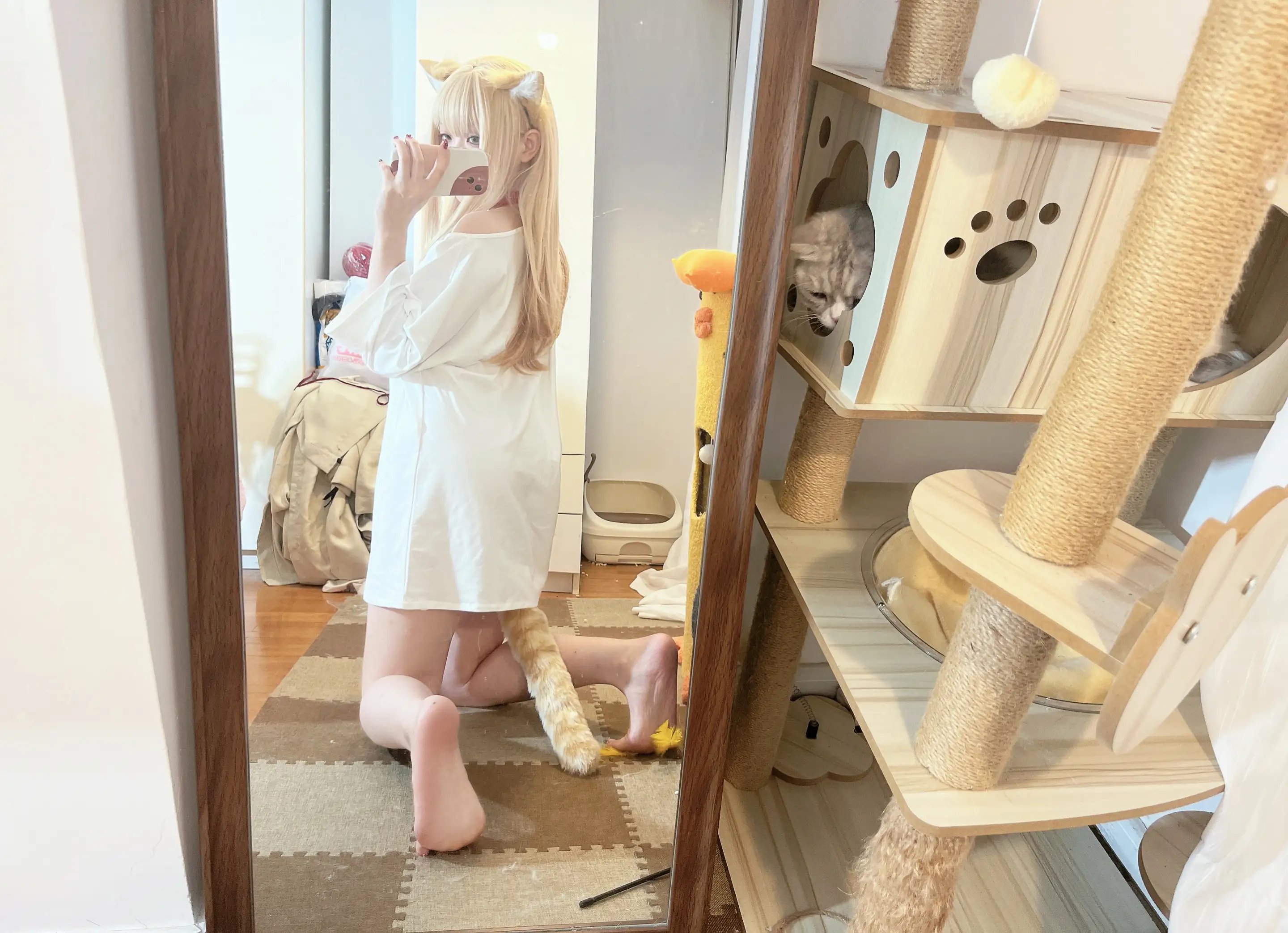  (002).webp