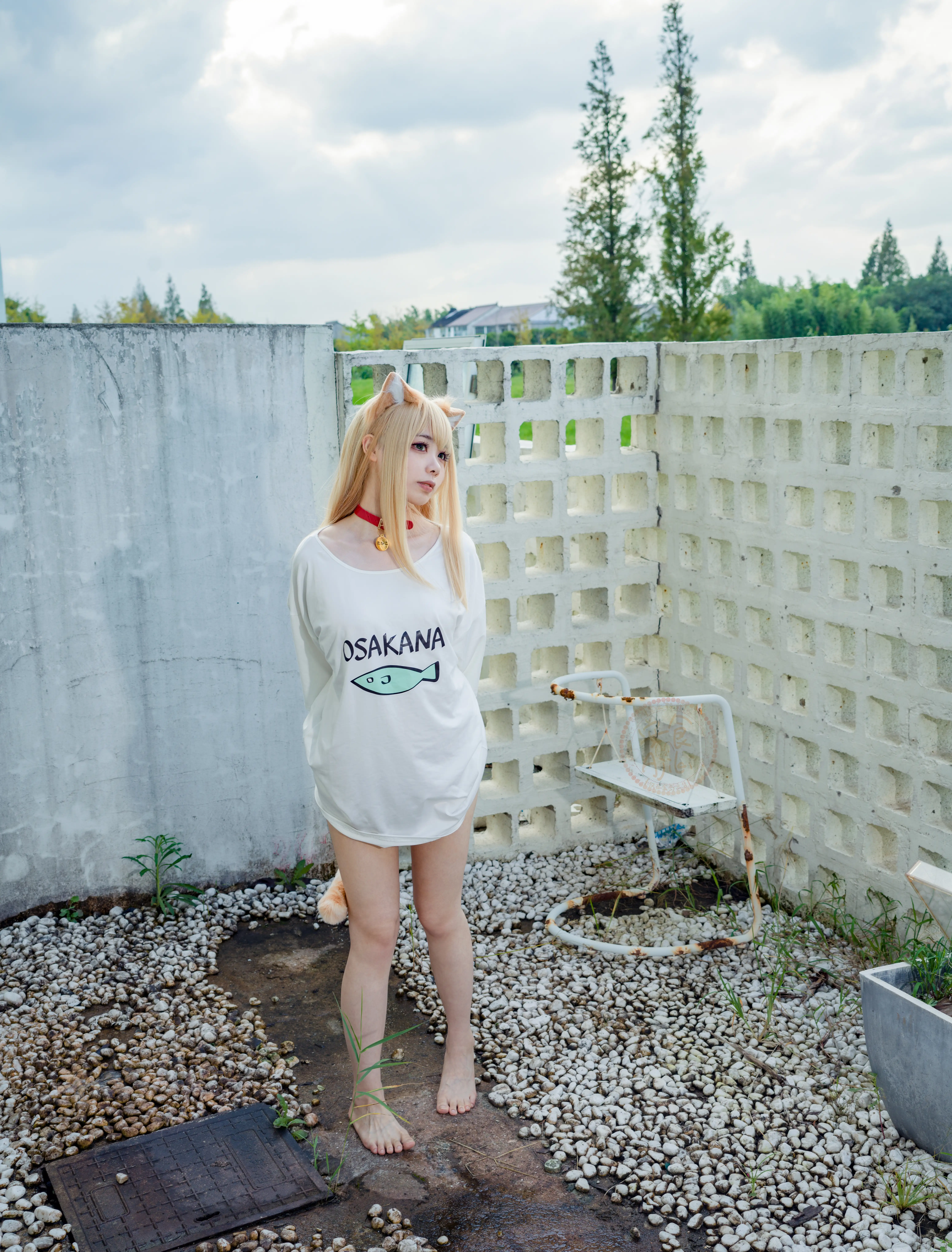  (010).webp