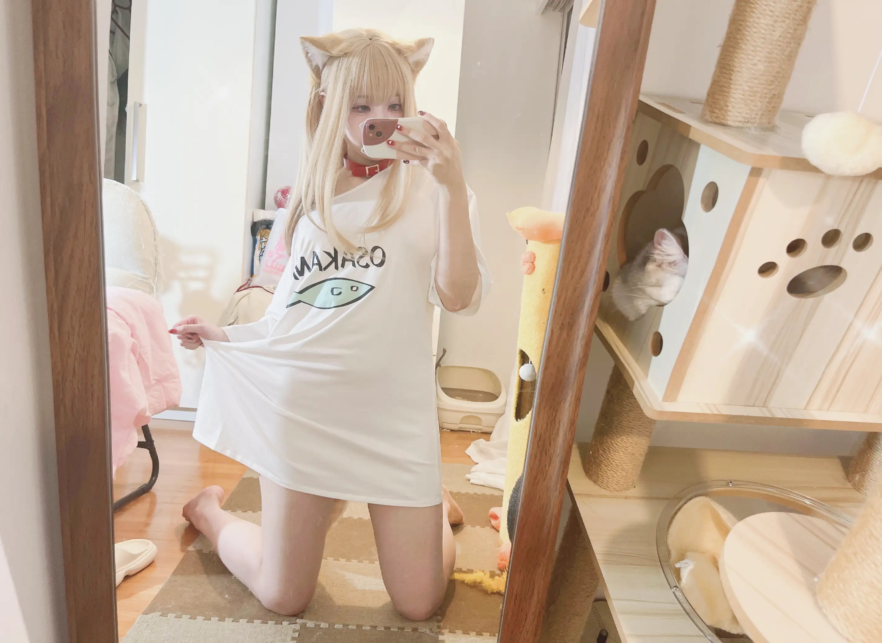  (004).webp