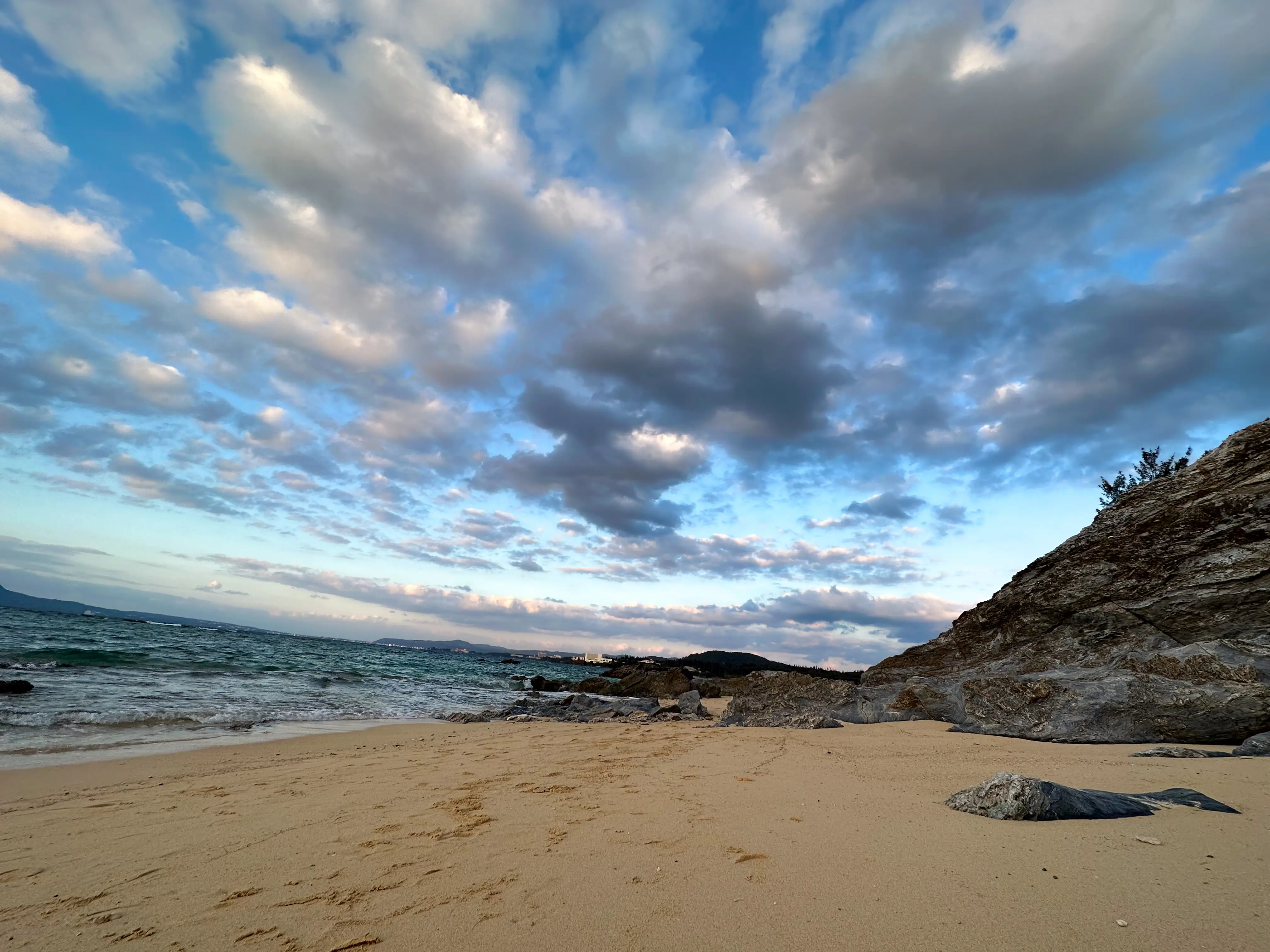 SELF_W (3).webp