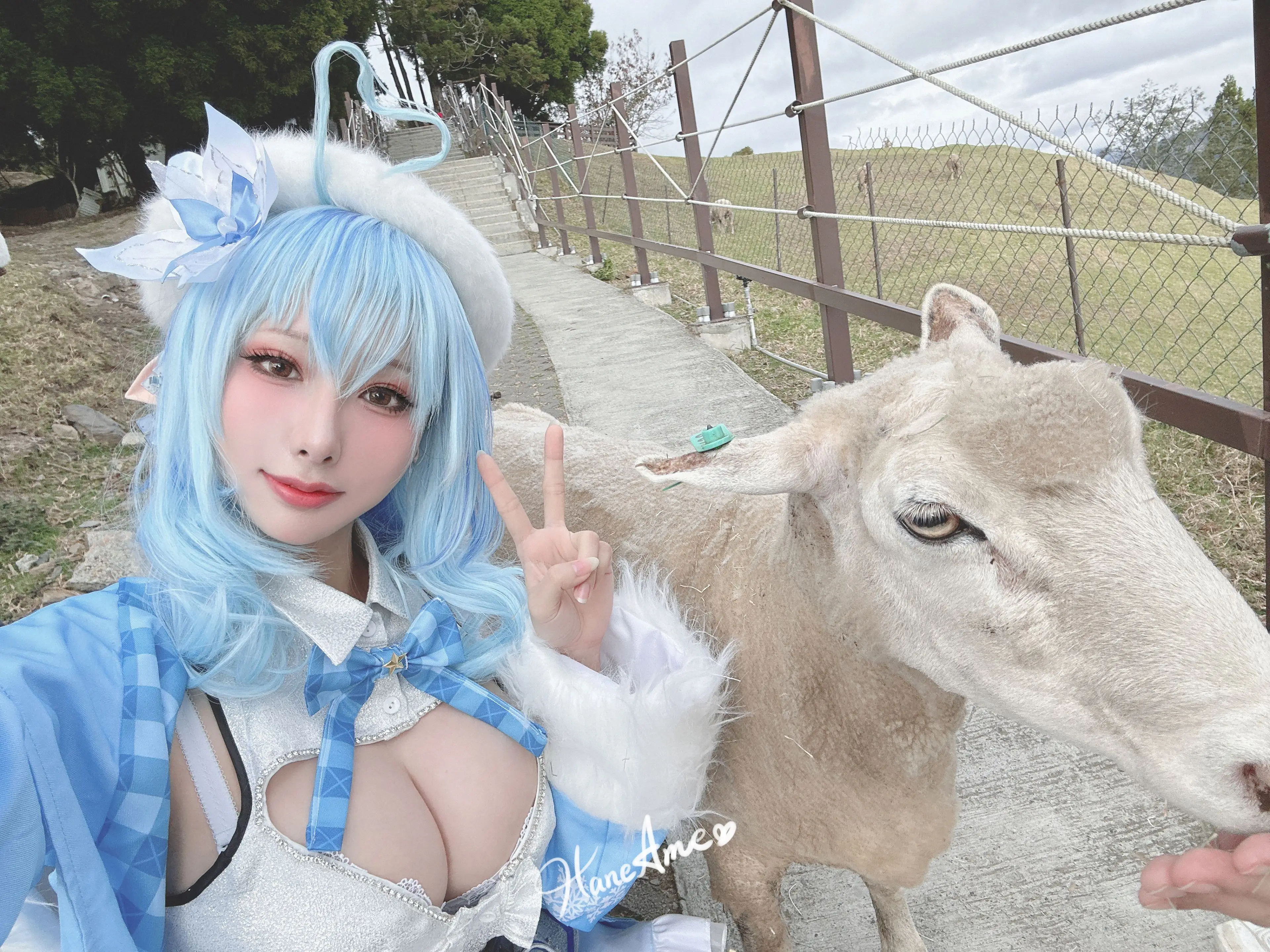 SELF_L (16).webp